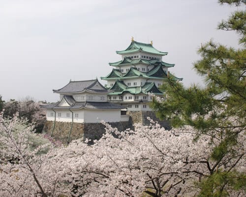 Castillo de Nagoya rodeado de cerezos en flor
