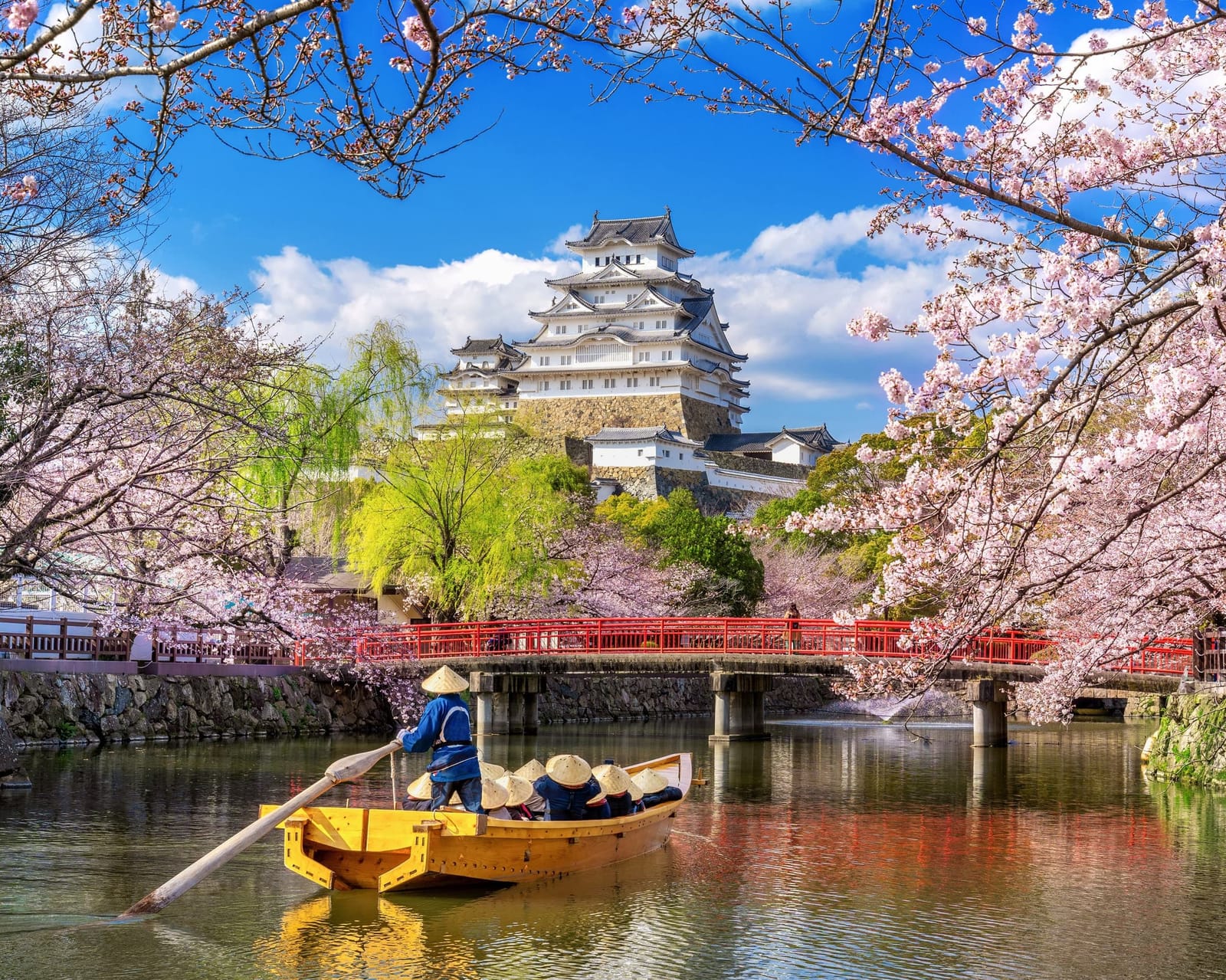 Castillo de Osaka rodeado de cerezos en flor