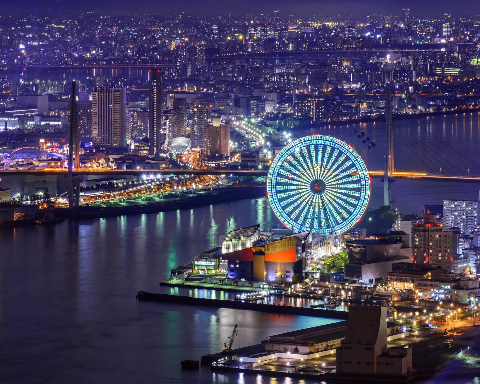 Noria y costa de Osaka iluminadas de noche