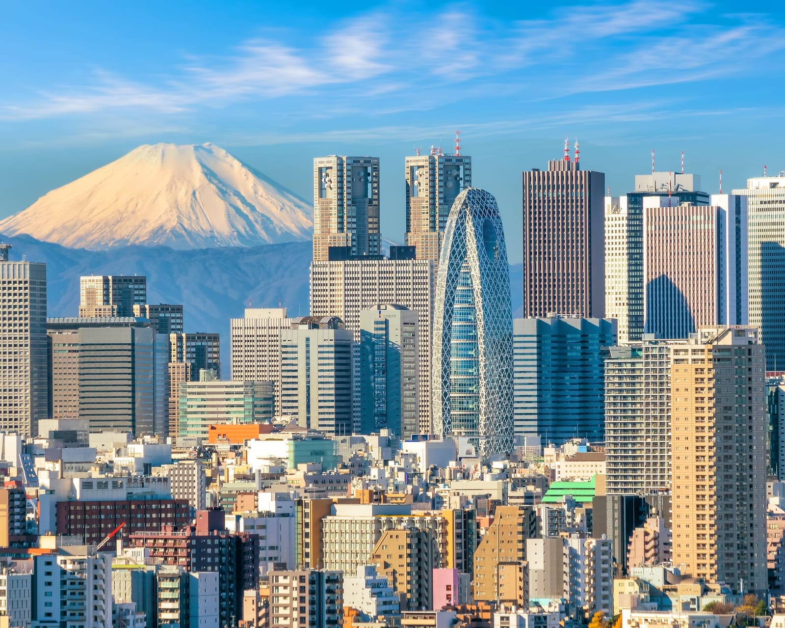 Skyline de Tokio con el monte Fuji al fondo