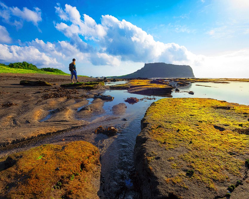 Costa volcánica de la isla de Jeju con un viajero frente a un cono de roca sobre el mar