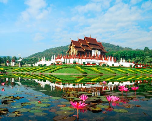 Templo junto a un estanque con flores de loto en Chiang Mai