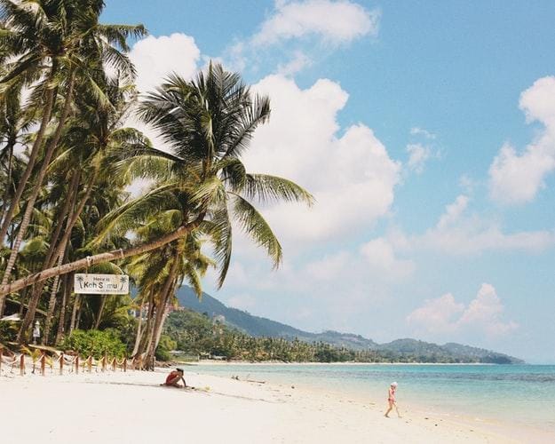 Palmeras sobre una playa de Koh Samui